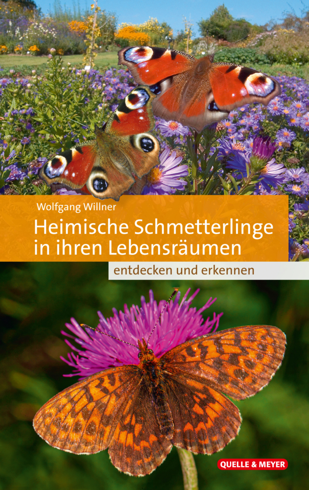Heimische Schmetterlinge in ihren Lebensräumen main product photo