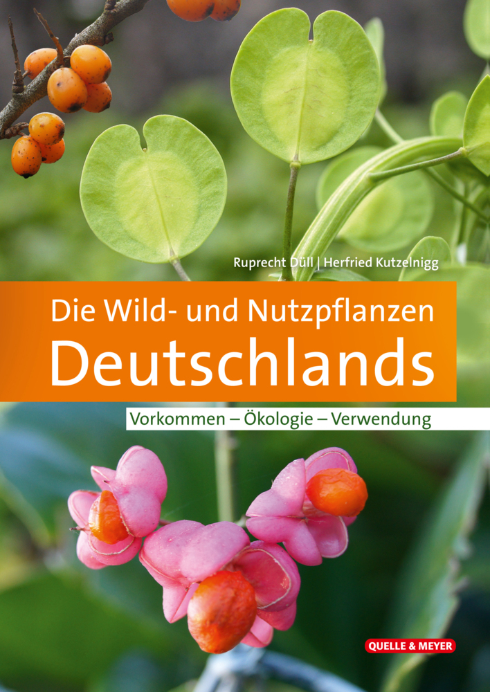 Die Wild- und Nutzpflanzen Deutschlands main product photo