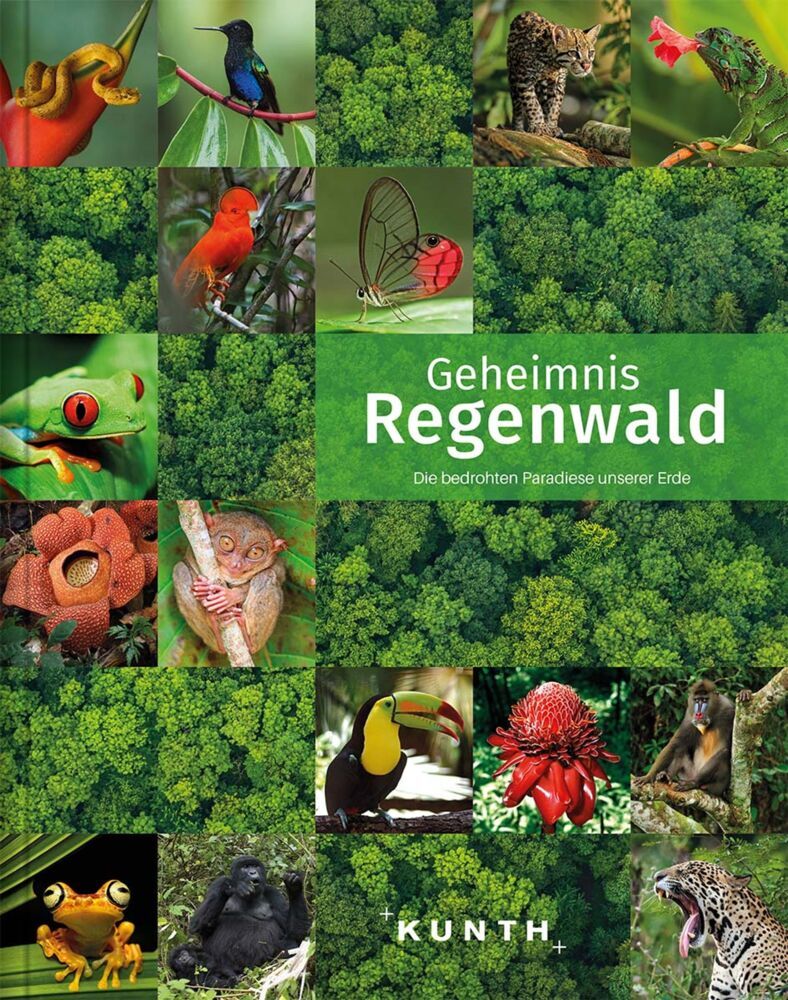 KUNTH Bildband Geheimnis Regenwald main product photo