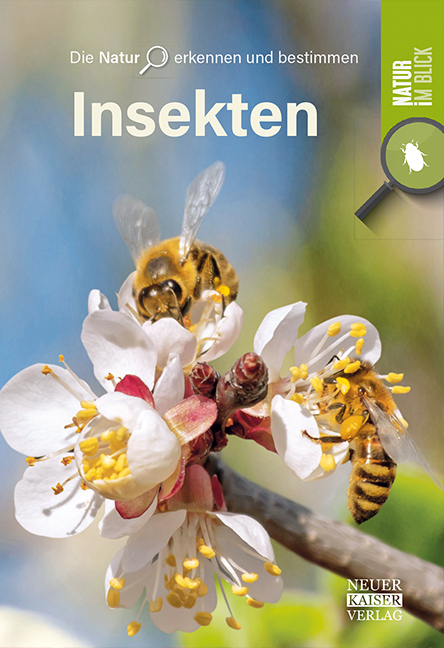 Insekten main product photo