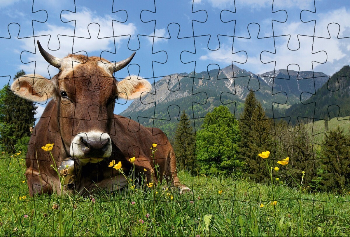 Puzzle-Postkarte Allgäu, Motiv: Kuh auf Wiese main product photo