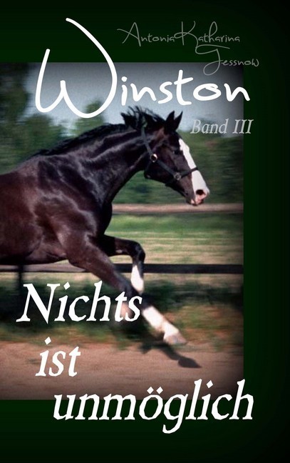 Winston - Nichts ist unmöglich main product photo