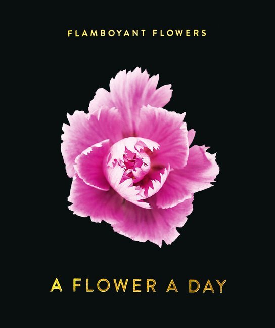 Flamboyant Flowers main product photo