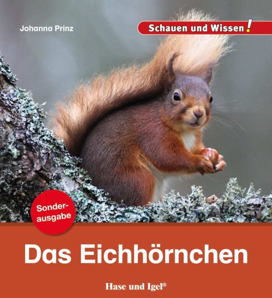 Das Eichhörnchen main product photo