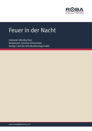 Feuer in der Nacht