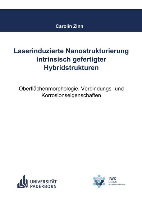 Laserinduzierte Nanostrukturierung intrinsisch gefertigter Hybridstrukturen main product photo