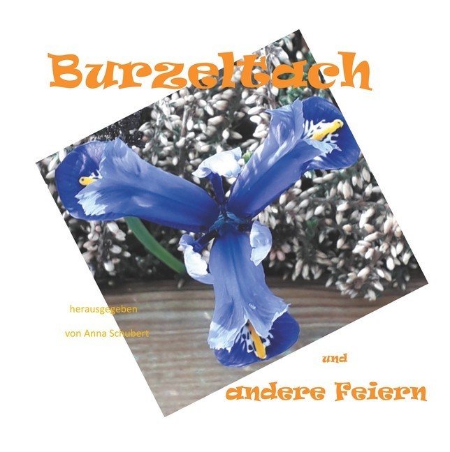 Burzeltach und andere Feiern main product photo
