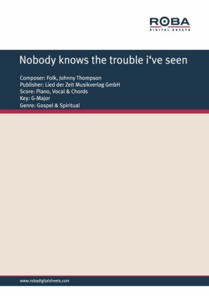 Nobody knows the trouble i've seen