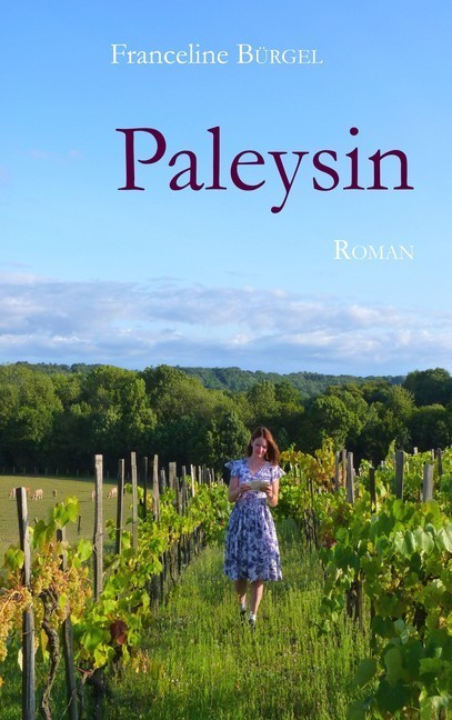 Paleysin main product photo