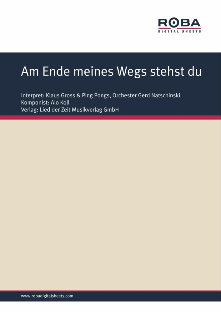 Am Ende meines Wegs stehst du main product photo