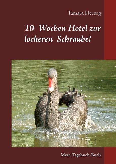 10 Wochen Hotel zur lockeren Schraube main product photo