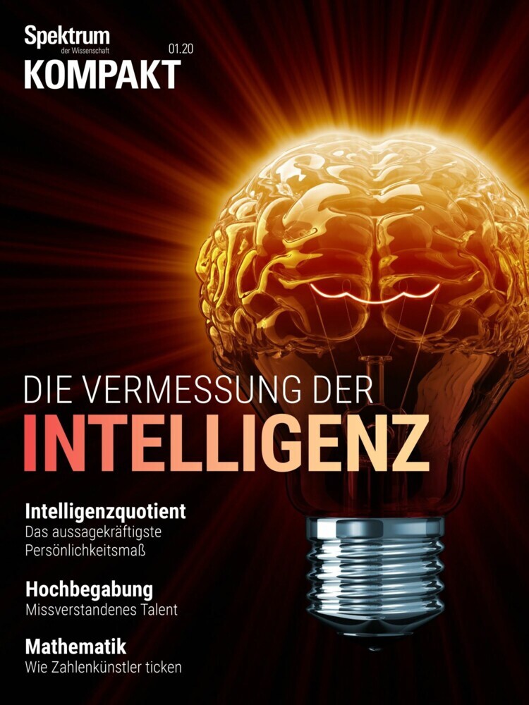 Spektrum Kompakt - Die Vermessung der Intelligenz main product photo