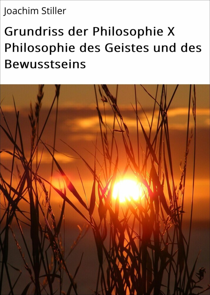 Grundriss der Philosophie X Philosophie des Geistes und des Bewusstseins main product photo