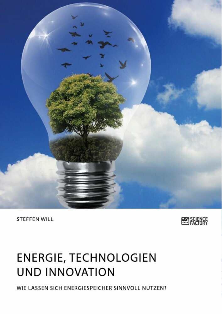 Energie, Technologien und Innovation. Wie lassen sich Energiespeicher sinnvoll nutzen? main product photo