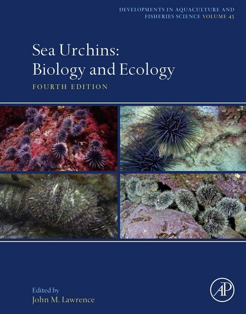 Sea Urchins main product photo