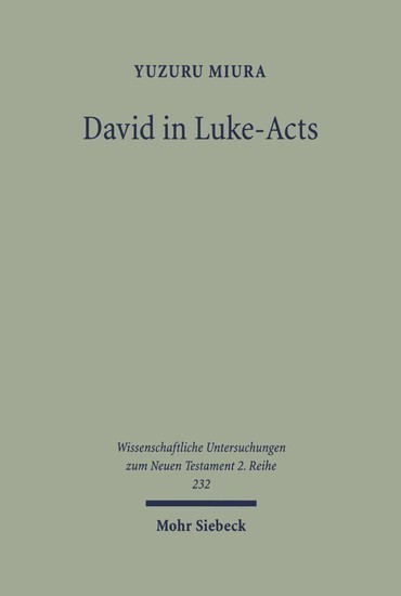 David in Luke-Acts main product photo
