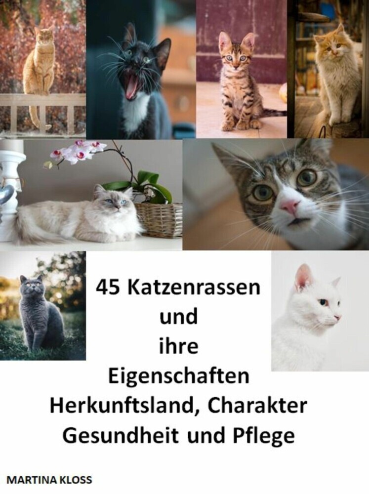 45 Katzenrassen und ihre Eigenschaften, Herkunftsland, Charakter, Gesundheit und Pflege main product photo