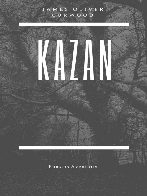 Kazan main product photo