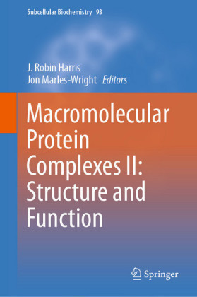 Macromolecular Protein Complexes II: Structure and Function