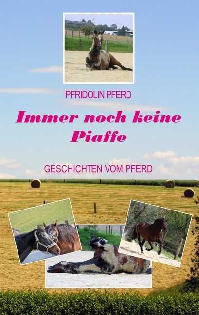 Immer noch keine Piaffe main product photo