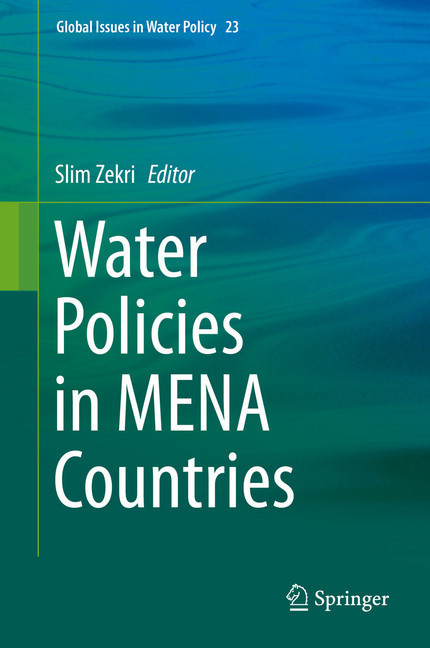 Water Policies in MENA Countries main product photo