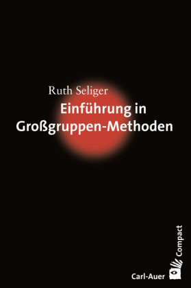 Einführung in Großgruppen-Methoden