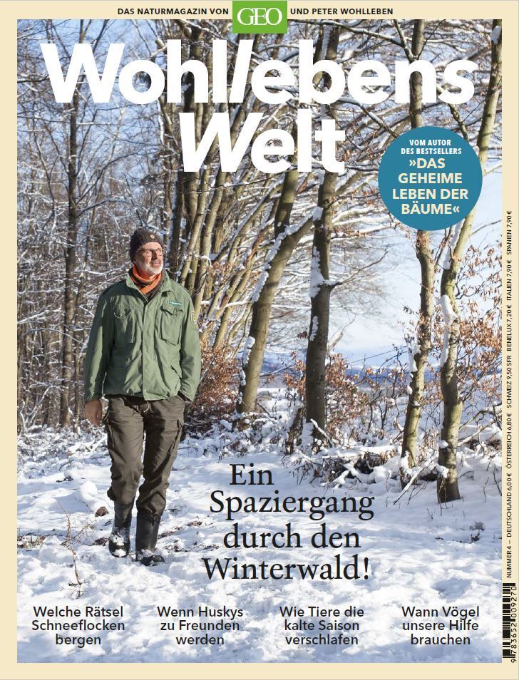Wohllebens Welt / Wohllebens Welt 4/2019 - Ein Spaziergang durch den Winterwald main product photo