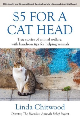 $5 For a Cat Head