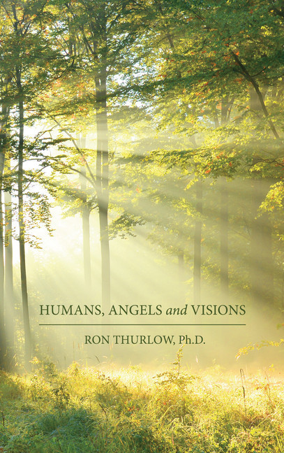 Humans, Angels and Visions main product photo