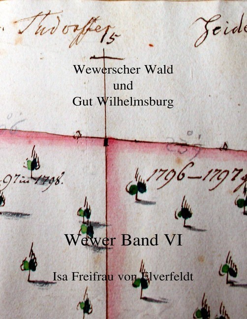 Wewer Band VI main product photo