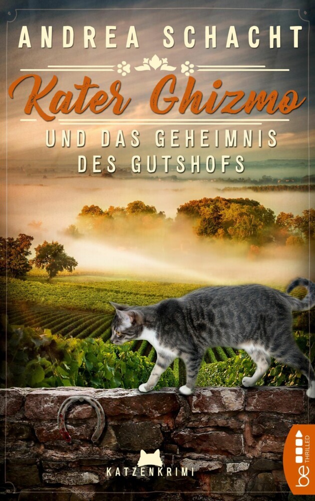 Kater Ghizmo und das Geheimnis des Gutshofs main product photo