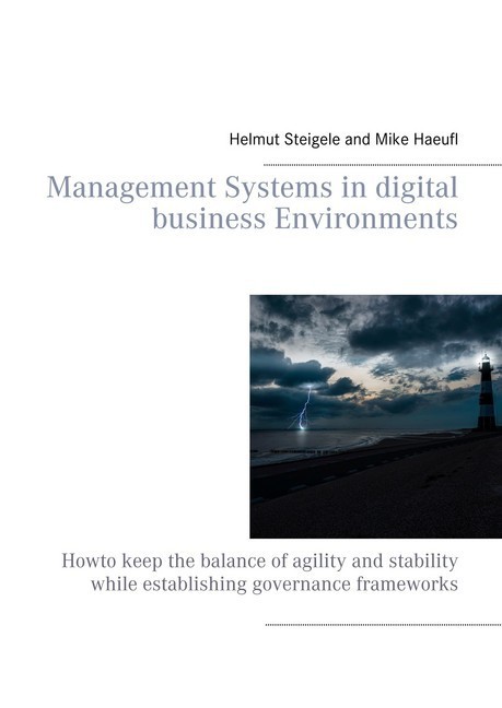 Management Systems in digital business Environments main product photo