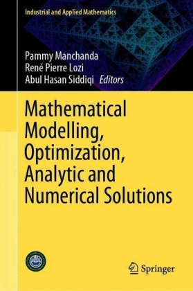 Mathematical Modelling, Optimization, Analytic and Numerical Solutions