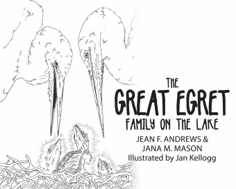 The Great Egret Family on the Lake