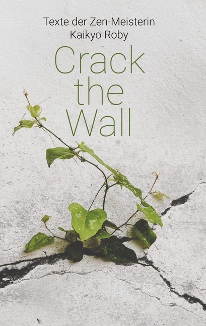 Crack the Wall main product photo