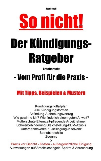 So nicht! Der Kündigungs-Ratgeber Arbeitsrecht main product photo