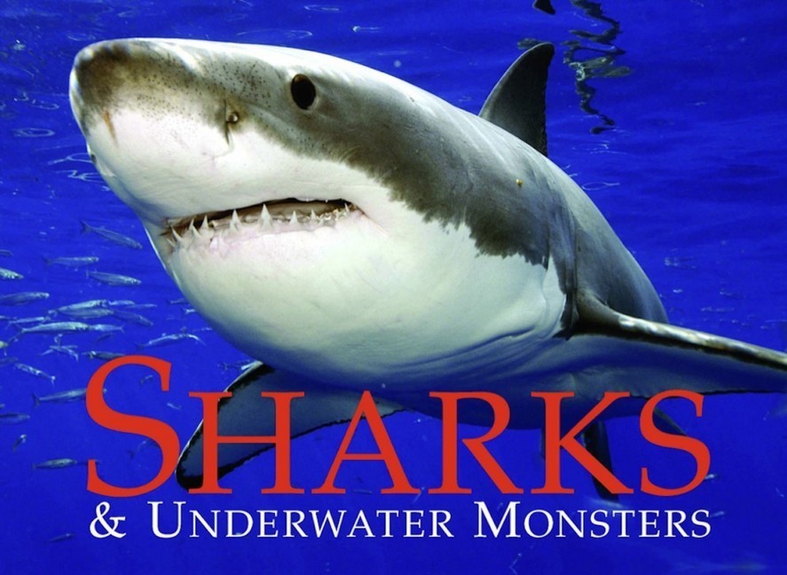 Sharks & Underwater Monsters main product photo