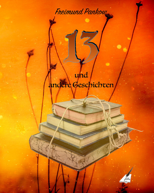 13 und andere Geschichten main product photo