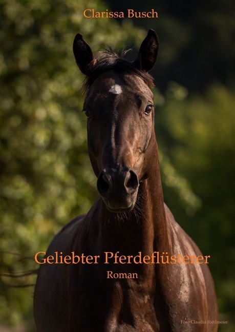 Geliebter Pferdeflüsterer main product photo