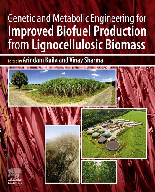 Genetic and Metabolic Engineering for Improved Biofuel Production from Lignocellulosic Biomass main product photo