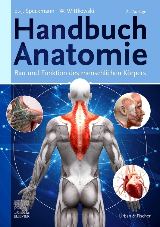 Handbuch Anatomie main product photo