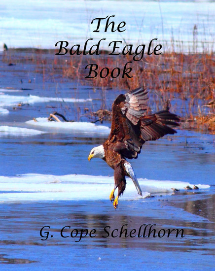 The Bald Eagle Book main product photo