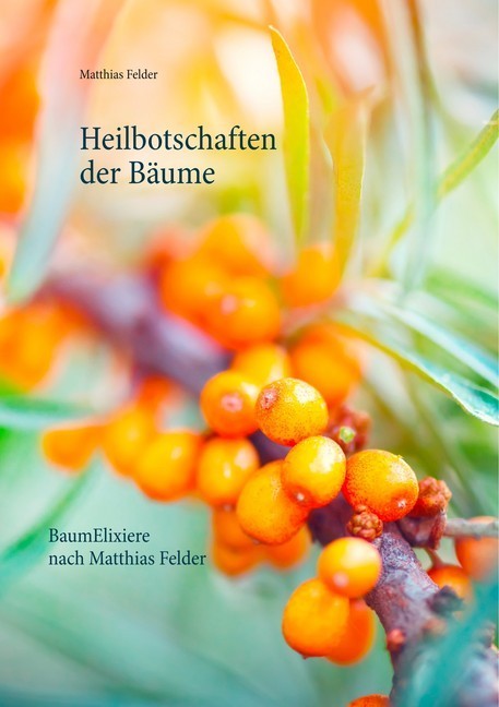 Heilbotschaften der Bäume main product photo