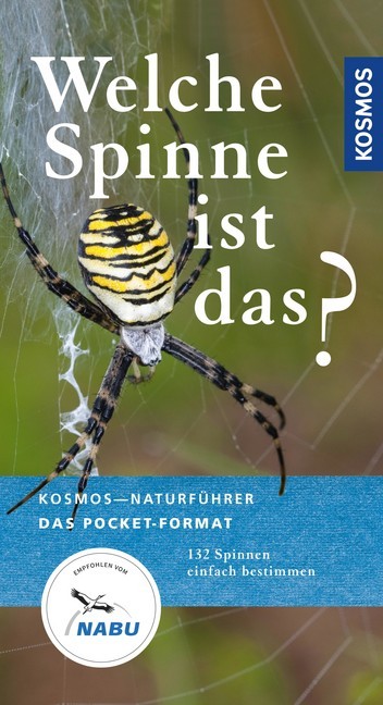 Welche Spinne ist das? main product photo