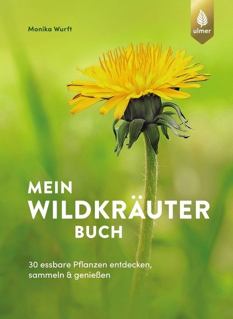 Mein Wildkräuterbuch main product photo