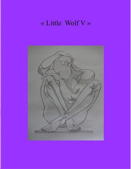 Little Wolf V main product photo