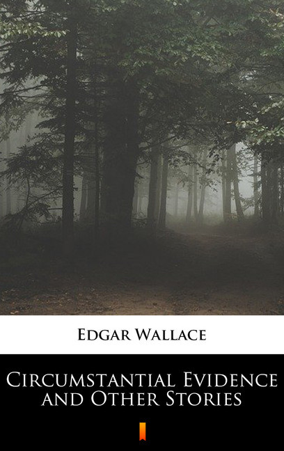 Circumstantial Evidence and Other Stories main product photo
