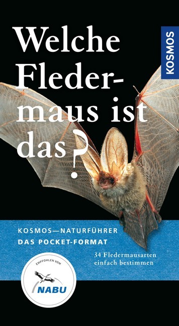 Welche Fledermaus ist das? main product photo