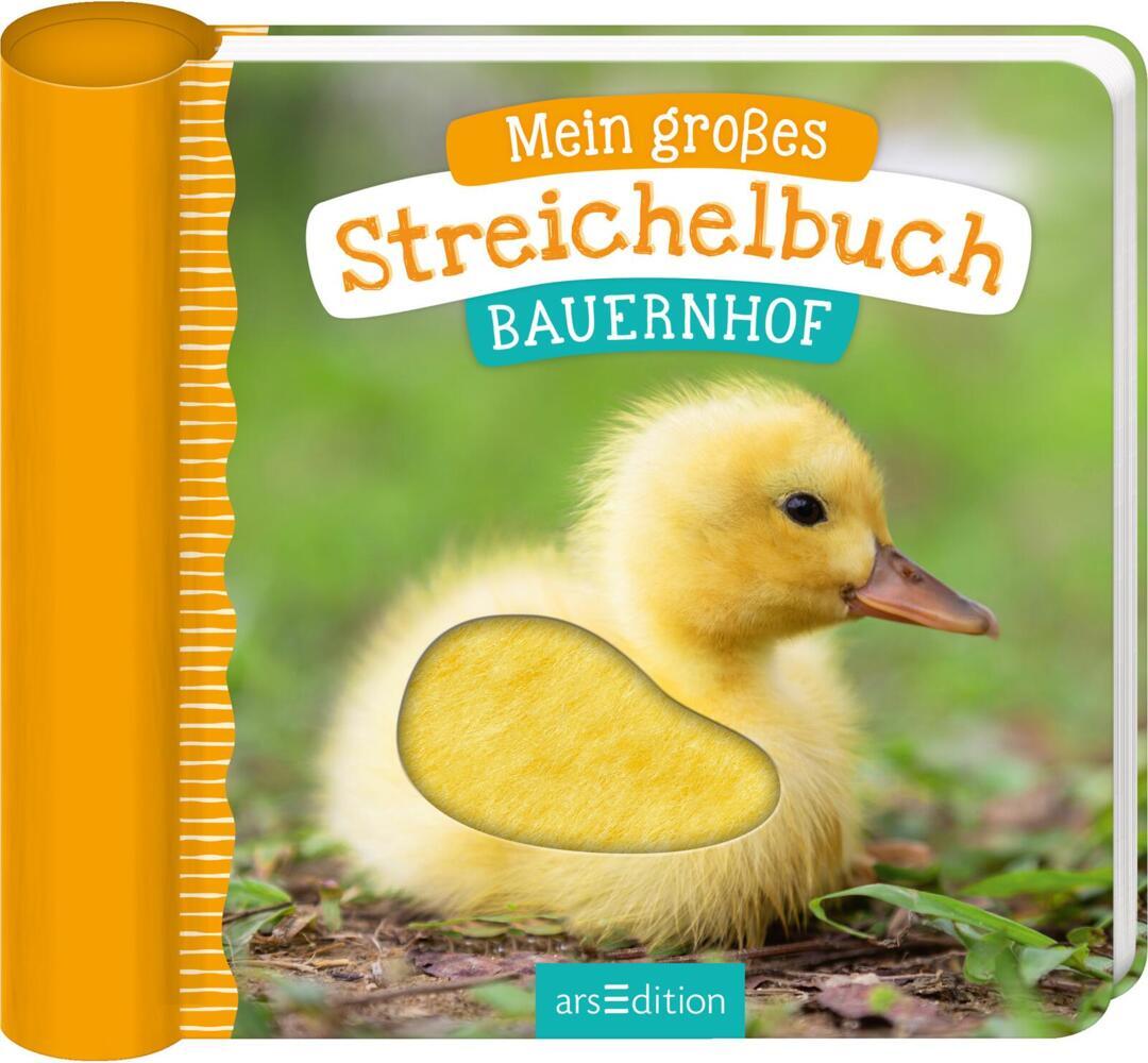 Mein großes Streichelbuch - Bauernhoftiere main product photo