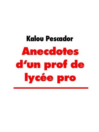 Anecdotes d&apos;un prof de lycée pro